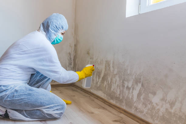 Licensed Commercial Mold Remediation service in Louisville, KY - WQB Mold Removal