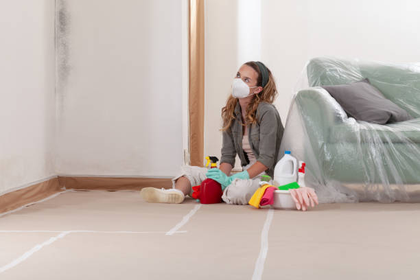 Reliable Commercial Mold Remediation contractor in Louisville, KY by WQB Mold Removal